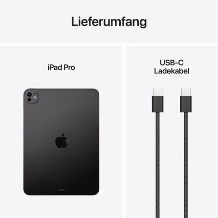 11" iPad Pro Wi-Fi 256 GB Standardglas - Space Schwarz (M5), A-Nr.: MDWK4TY/A - 09
