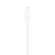 Apple Watch magnetisches Schnellladegerät auf USB‑C Kabel (1 m), A-Nr.: MT0H3ZM/A - 04