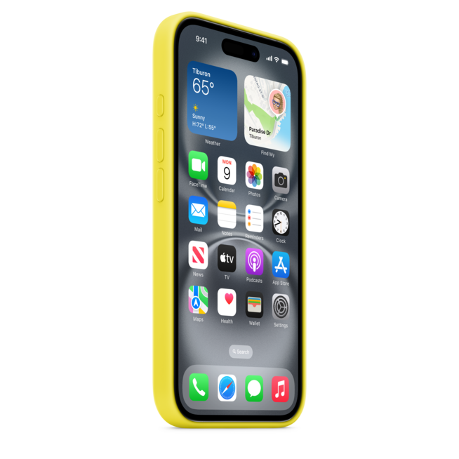 iPhone 16 Silikon Case mit MagSafe – Sternfrucht, A-Nr.: MYY73ZM/A - 05