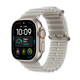 Apple Watch Ultra 4 GPS + Cellular, 49 mm Titangehäuse Natur, Ocean Armband Halbtransparentes Grau, A-Nr.: MJAD4QF/A - 01